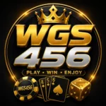 WGS456 game
