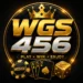 WGS456 game