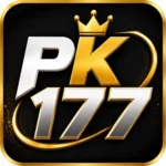 PK177 game