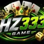HZ333 Game