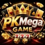PKMega game